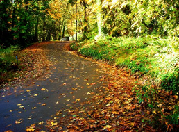 Screen Shot 2012-10-22 at 22.41.07